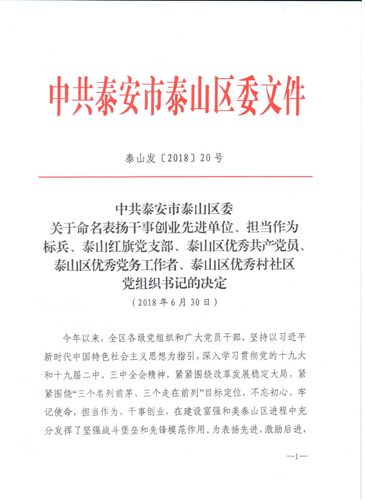 山东国泰科技有限公司党支部被授予“泰山红旗党支部”称号