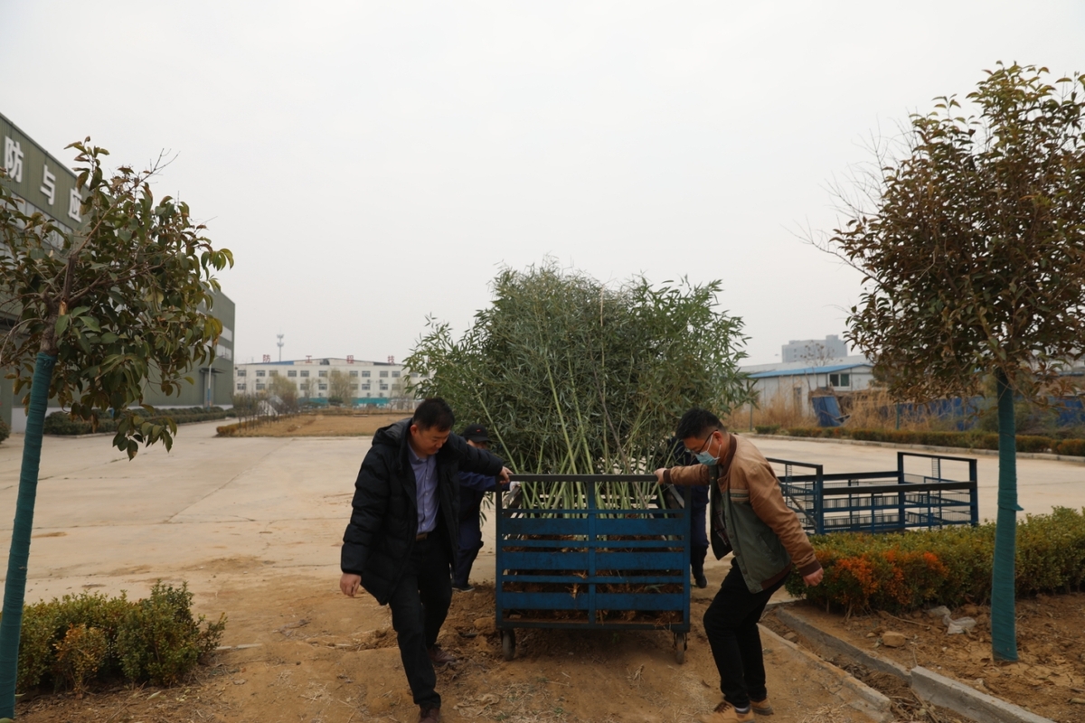 阳春三月，一年一度的植树节到来之际，为美化厂区，国泰科技公司全体员工举行了“你我携手，美化公司”植树节义务植树活动。