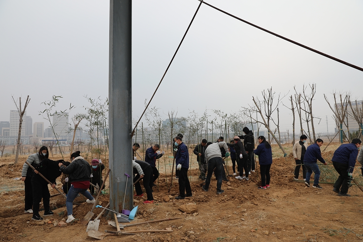 国泰科技举行“你我携手，美化公司”植树节活动