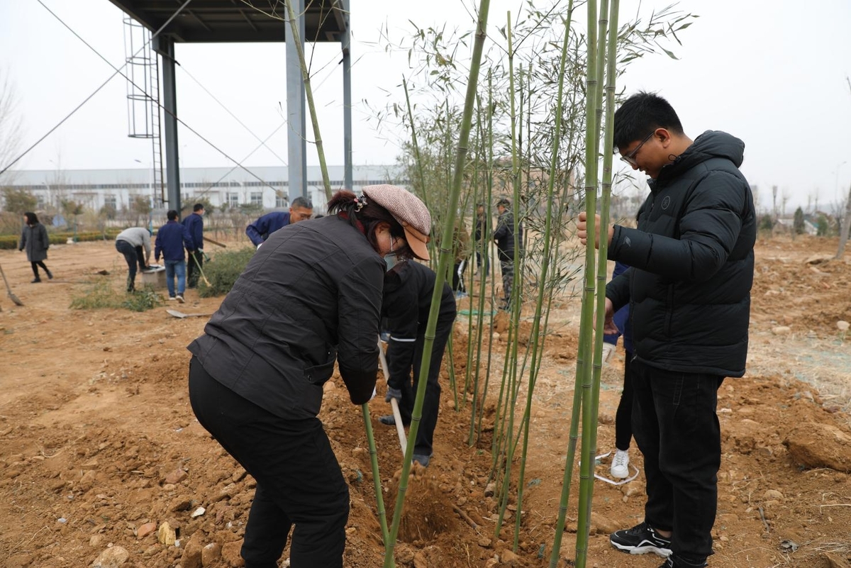 国泰科技举行“你我携手，美化公司”植树节活动