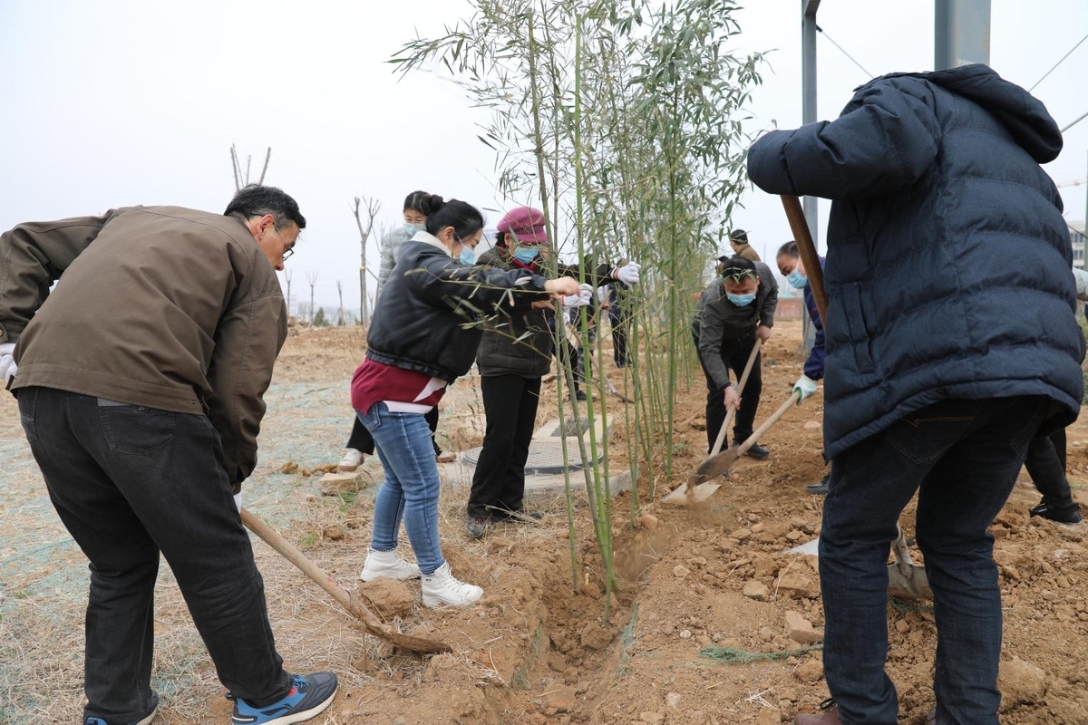 国泰科技举行“你我携手，美化公司”植树节活动